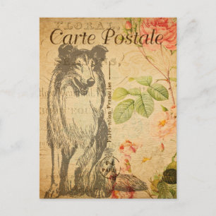 Vintag Rough Collie Dog Floral Blume Französisch Postkarte
