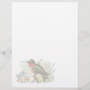 Vintag Ruby Throated Humming Bird Letterhead
