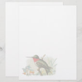 Vintag Ruby Throated Humming Bird Letterhead (Vorne/Hinten)