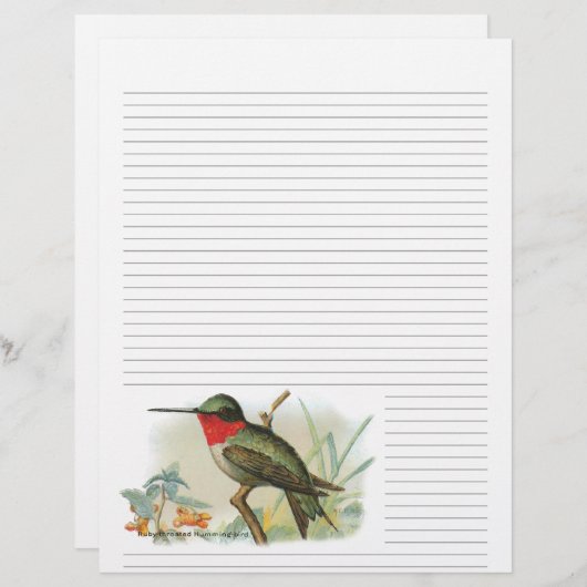 Vintag Ruby Throated Hummingbird Lined Letterhead (Vorne/Hinten)