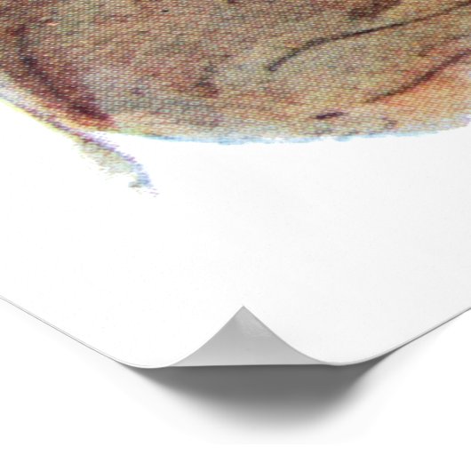 Vintag Sancho Panza Don Quixote Poster (Ecke)