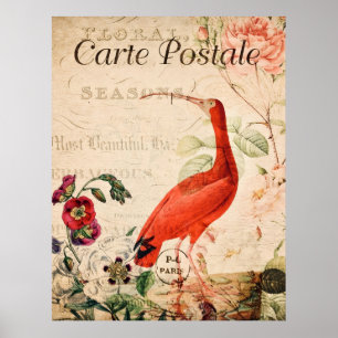 Vintag Scarlet Ibis Bird Französisches Blumenposte Poster