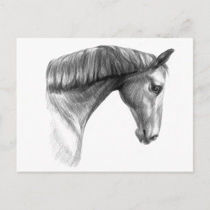 Vintag schönes Dunkles Pferd Postkarte