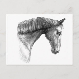 Vintag schönes Dunkles Pferd Postkarte