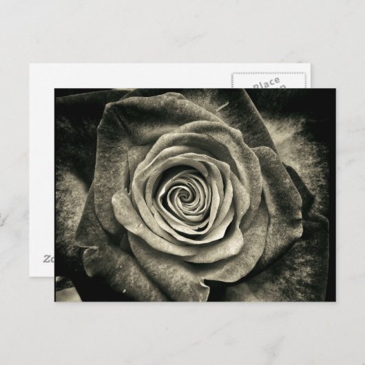 Vintag Schwarz und Weiß Postkarte (Vorne/Hinten)