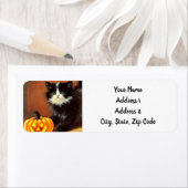 Vintag Schwarz/Weiß Halloween Kitten (Insitu)