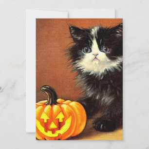 Vintag Schwarz/Weiß Halloween Kitten Einladung