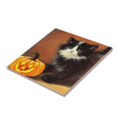 Vintag Schwarz/Weiß Halloween Kitten Fliese (Seite)