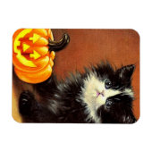 Vintag Schwarz/Weiß Halloween Kitten Magnet (Horizontal)