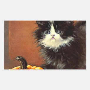 Vintag Schwarz/Weiß Halloween Kitten Rechteckiger Aufkleber