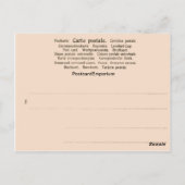 Vintag, Schweizer Chalet in Interlaken, 1890 Postkarte (Rückseite)