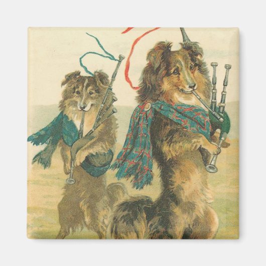 Vintag Scottish Dogs Magnet (Vorne)