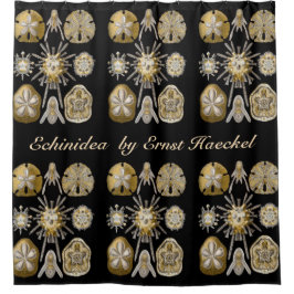 Vintag Sea Urchins Sand Dollars von Ernst Haeckel Duschvorhang