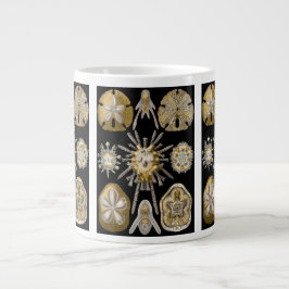 Vintag Sea Urchins Sand Dollars von Ernst Haeckel Jumbo-Tasse