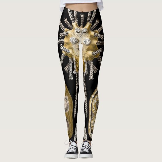 Vintag Sea Urchins Sand Dollars von Ernst Haeckel Leggings (Vorderseite)