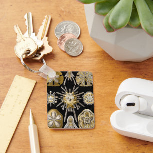 Vintag Sea Urchins Sand Dollars von Ernst Haeckel Schlüsselanhänger