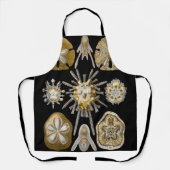 Vintag Sea Urchins Sand Dollars von Ernst Haeckel Schürze (Vorderseite)