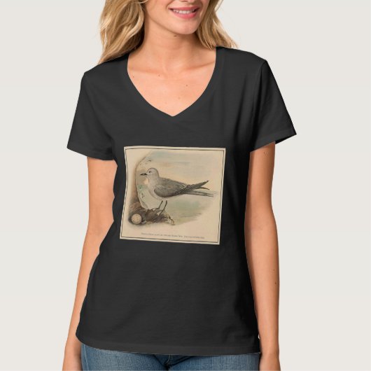 Vintag Seagull Illustration 1906 T-Shirt (Vorderseite)