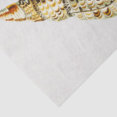Vintag Seashell Trompete Illustration Seidenpapier (Ausschnitt)