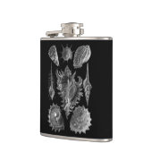 Vintag Seashells Black Flachmann (Links)