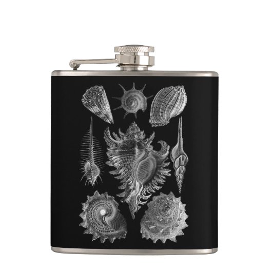 Vintag Seashells Black Flachmann (Vorderseite)