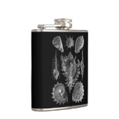 Vintag Seashells Black Flachmann (Rechts)