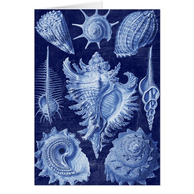 Vintag Seashells Blue (Vorne)