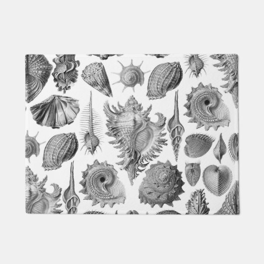 Vintag Seashells Fußmatte (Vorderseite)
