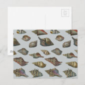 Vintag Seashells Postkarte (Vorne/Hinten)