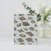 Vintag Seashells Postkarte (Stehend Vorderseite)