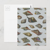 Vintag Seashells Postkarte (Vorne/Hinten)