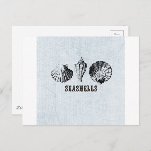 Vintag Seashells Postkarte (Vorne/Hinten)