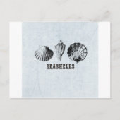 Vintag Seashells Postkarte (Vorderseite)