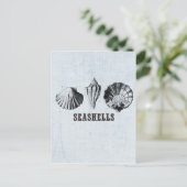 Vintag Seashells Postkarte (Stehend Vorderseite)