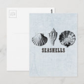 Vintag Seashells Postkarte (Vorne/Hinten)