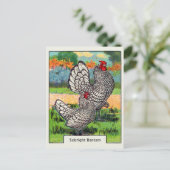 Vintag Sebright Bantam Chicken Postkarte (Stehend Vorderseite)