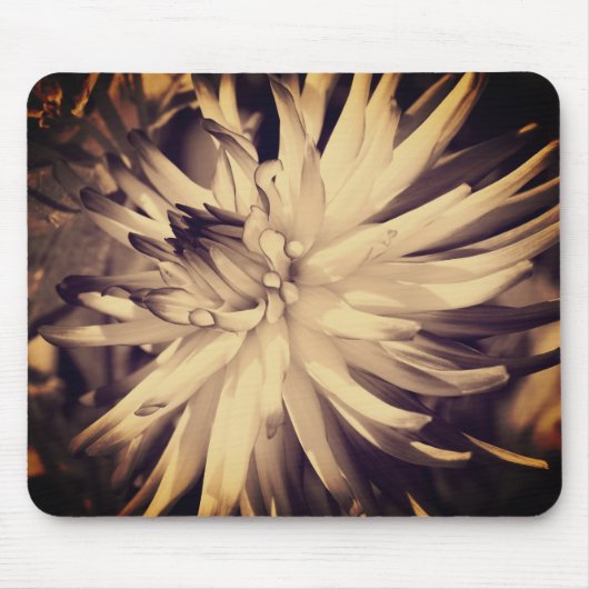 Vintag Sepia Dahlia Blume Mousepad (Vorne)