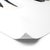 Vintag Shaheen Falcon Bird Poster (Ecke)