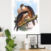 Vintag Shaheen Falcon Bird Poster (Heimbüro)