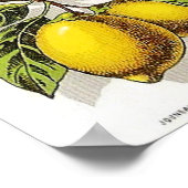 Vintag Sirop de Citron Ad - Poster (Ecke)