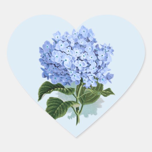 Vintag Sky Blue Hydrangea Blume Sticker (Vorderseite)