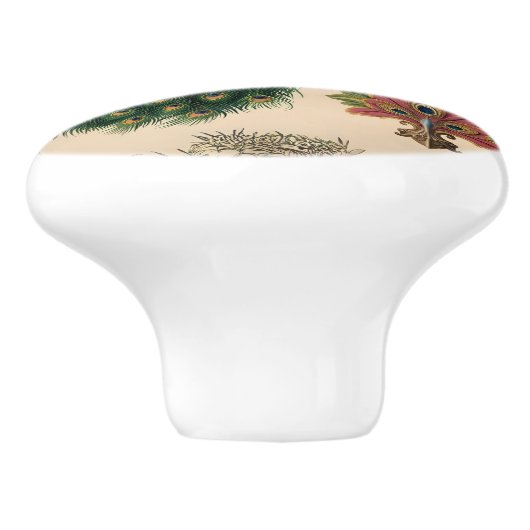 Vintag Solo Peacock Keramikknauf (Seitenansicht)