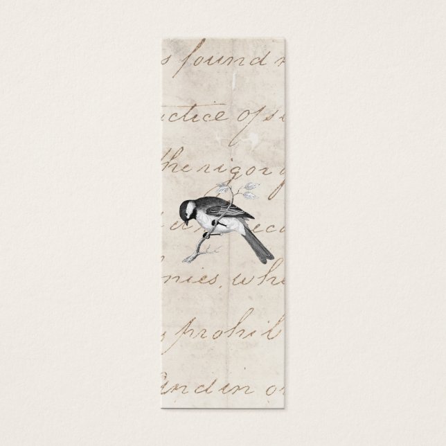 Vintag Song Bird Illustration - Vogeltext aus dem  (Vorderseite)