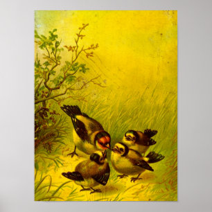 Vintag Sparrow-Poster Poster