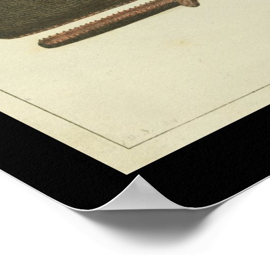 Vintag Sperm Whale Print Poster (Ecke)