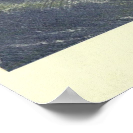 Vintag Spermienwal (1909) Poster (Ecke)