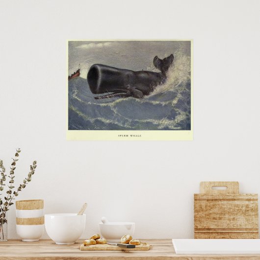 Vintag Spermienwal (1909) Poster (Küche)