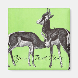 Vintag Springbok Magnet