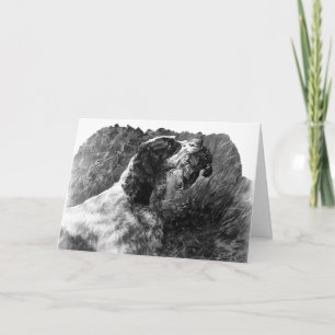 Vintag Springer Spanische Kunst Karte