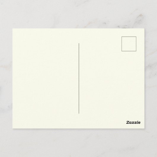 Vintag St. Augustine Florida Postkarte (Rückseite)